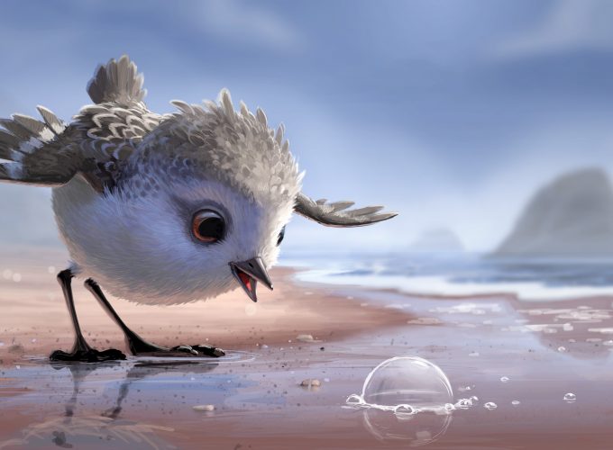 Wallpaper Piper, bird, pixar, Animals 4338419485